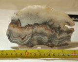 Crazy Lace Agate Lapidary Slab 7.6 oz (215 grams) - radiantrocksct