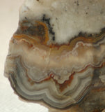 Crazy Lace Agate Lapidary Slab 7.6 oz (215 grams) - radiantrocksct