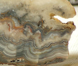 Crazy Lace Agate Lapidary Slab 7.6 oz (215 grams) - radiantrocksct