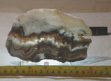 Crazy Lace Agate Lapidary Slab 7.6 oz (215 grams) - radiantrocksct