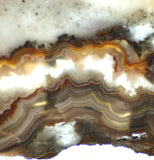 Crazy Lace Agate Lapidary Slab 7.6 oz (215 grams) - radiantrocksct