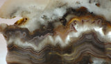 Crazy Lace Agate Lapidary Slab 7.6 oz (215 grams) - radiantrocksct