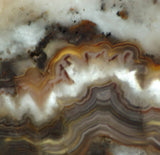 Crazy Lace Agate Lapidary Slab 7.6 oz (215 grams) - radiantrocksct