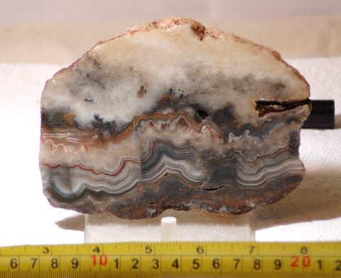 Crazy Lace Agate Lapidary Slab 9.6 oz (270 grams) - radiantrocksct
