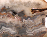 Crazy Lace Agate Lapidary Slab 9.6 oz (270 grams) - radiantrocksct