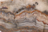 Crazy Lace Agate Lapidary Slab 9.6 oz (270 grams) - radiantrocksct