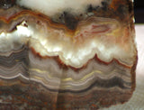 Crazy Lace Agate Lapidary Slab 9.6 oz (270 grams) - radiantrocksct