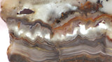 Crazy Lace Agate Lapidary Slab 9.6 oz (270 grams) - radiantrocksct