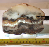 Crazy Lace Agate Lapidary Slab 9.6 oz (270 grams) - radiantrocksct