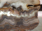 Crazy Lace Agate Lapidary Slab 9.6 oz (270 grams) - radiantrocksct