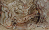 Crazy Lace agate  Slab 1.4 oz  (40 grams) Great  patterns - radiantrocksct