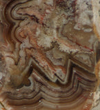 Crazy Lace agate  face cut slab 1.4 oz  (40 grams). Great  patterns - radiantrocksct
