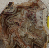 Crazy Lace agate  face cut slab 1.4 oz  (40 grams). Great  patterns - radiantrocksct