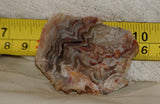Crazy Lace agate  face cut slab 1.4 oz  (40 grams). Great  patterns - radiantrocksct