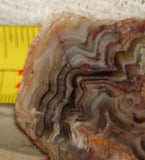 Crazy Lace agate  face cut slab 1.4 oz  (40 grams). Great  patterns - radiantrocksct