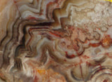 Crazy Lace agate  face cut slab 1.4 oz  (40 grams). Great  patterns - radiantrocksct