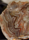 Crazy Lace agate  face cut slab 1.4 oz  (40 grams). Great  patterns - radiantrocksct