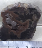 Montana Dryhead  Agate Lapidary Slab - Radiant Rocks CT
