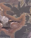 Montana Dryhead  Agate Lapidary Slab - Radiant Rocks CT