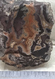 Montana Dryhead  Agate Lapidary Slab - Radiant Rocks CT