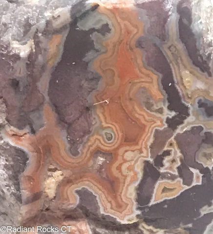 Montana Dryhead  Agate Lapidary Slab - Radiant Rocks CT