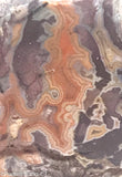 Montana Dryhead  Agate Lapidary Slab - Radiant Rocks CT