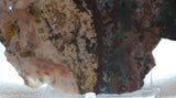 Moroccan Jasper Agate lapidary slab 8.8 oz (255 grams)
