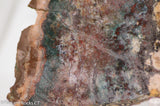 Moroccan Jasper Agate lapidary slab 12.5 oz (355 grams)