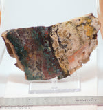 Moroccan Jasper Agate lapidary slab 12.5 oz (355 grams)