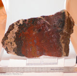 Moroccan Jasper Agate lapidary slab 19.4 oz (550 grams)
