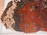 Moroccan Jasper Agate lapidary slab 19.4 oz (550 grams)