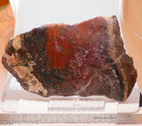 Moroccan Jasper Agate lapidary slab 19.4 oz (550 grams)
