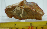 Morrisonite Picture Porcelain Jasper  Cabochon heel slab 1.4 oz (40 grams)