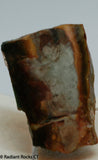 Morrisonite Picture Porcelain Jasper Lapidary heel slab 2.2 oz (60 grams)