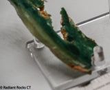 Zimbabwe Mtorolite chrome green gemmy chalcedony slab  1.8 oz (50 grams) .  RadiantRocksCTT