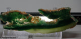 Zimbabwe Mtorolite chrome green gemmy chalcedony slab  1.8 oz (50 grams) .  RadiantRocksCTT