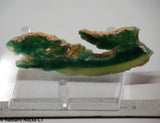 Zimbabwe Mtorolite chrome green gemmy chalcedony slab  1.8 oz (50 grams) .  RadiantRocksCTT