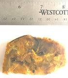 Namibian Pietersite Gold lapidary heel slab 1.6 oz  (50 grams) - radiantrocksct