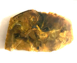 Namibian Pietersite Gold lapidary heel slab 1.6 oz  (50 grams) - radiantrocksct