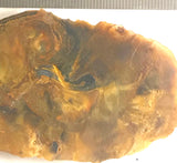Namibian Pietersite Gold lapidary heel slab 1.6 oz  (50 grams) - radiantrocksct