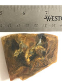 Namibian Pietersite Gold lapidary face cut slab 1.6 oz  (45 grams) - radiantrocksct