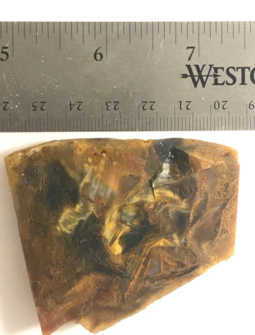 Namibian Pietersite Gold lapidary face cut slab 1.6 oz  (45 grams) - radiantrocksct