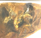 Namibian Pietersite Gold lapidary face cut slab 1.6 oz  (45 grams) - radiantrocksct