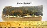 Namibian Pietersite Blue Gold lapidary slab 2.2 oz  (65 grams) - radiantrocksct