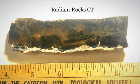 Namibian Pietersite Blue Gold lapidary slab 2.2 oz  (65 grams) - radiantrocksct