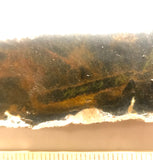 Namibian Pietersite Blue Gold lapidary slab 2.2 oz  (65 grams) - radiantrocksct