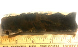 Namibian Pietersite Blue Gold lapidary slab 2.2 oz  (65 grams) - radiantrocksct
