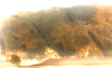 Namibian Pietersite Blue Gold lapidary slab 2.2 oz  (65 grams) - radiantrocksct