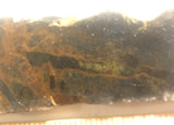 Namibian Pietersite Blue Gold lapidary slab 2.2 oz  (65 grams) - radiantrocksct
