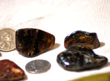 Namibian Red/Blue/Gold Pietersite polished tumble - 7 pieces 5.3 ounces - radiantrocksct